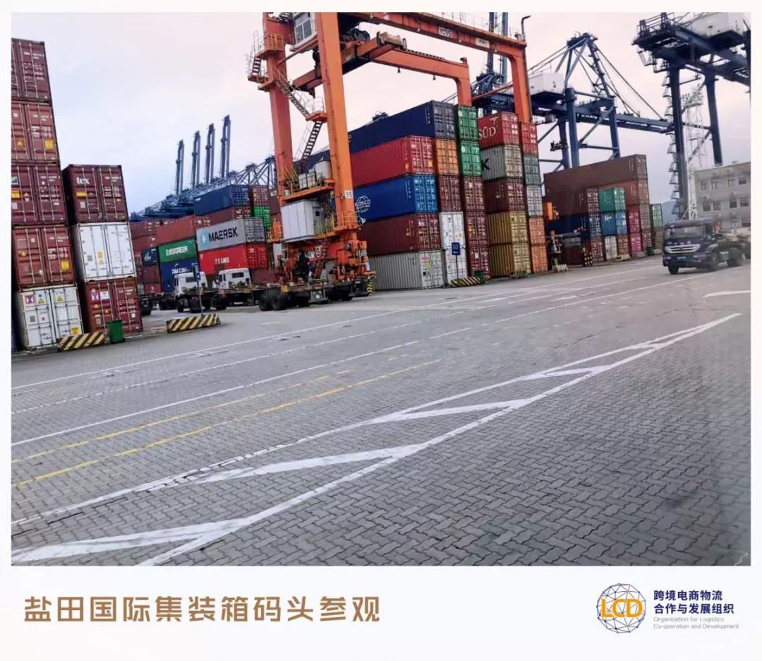 盐田码头实地视察2.jpg