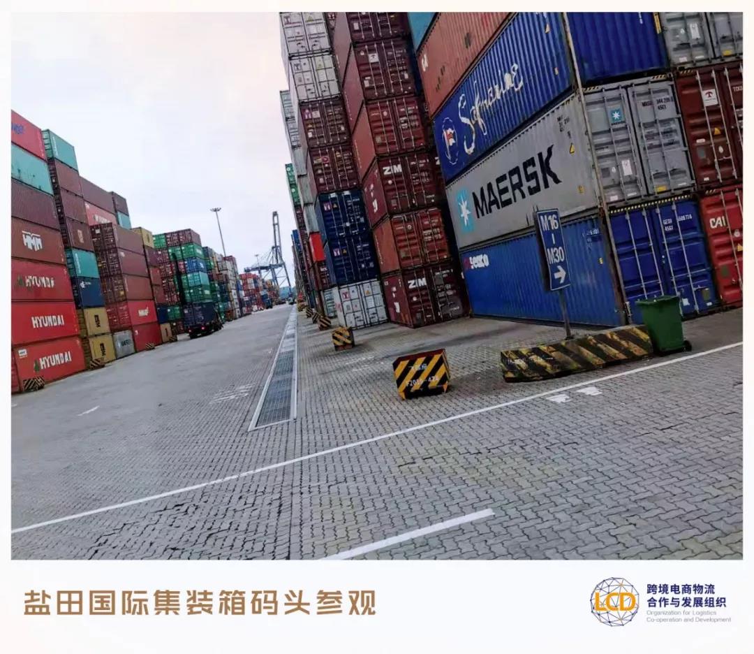 盐田码头实地视察4.jpg